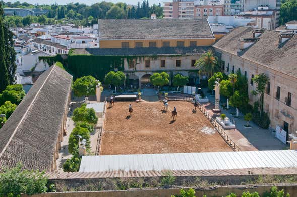 Espectáculo ecuestre en las Caballerizas Reales