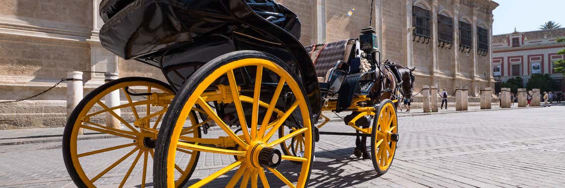 Coche de caballos de Córdoba